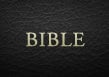 EasyWorship EasyWorship Bible English NIV Software, Bible Version add ...