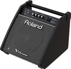 Roland PM-100 80W 2-Channel 1x10" Personal Drum Monitor