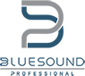 More Bluesound Professional products