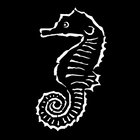 Steel Gobo, Sea Horse