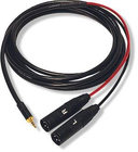 25' 1/8" TRS Male to Dual XLRM Adapter Cable