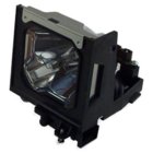 Replacement Lamp for PLC-XT15A, PLC-XT10A, PLC-XT16, PLC-XT11 Projectors