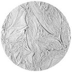 Rosco 33603 Image Glass Gobo, Light Plume