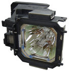 Replacement Projector Lamp