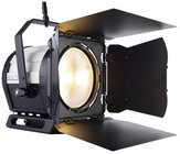 12" Tungsten LED Fresnel Fixture with Barndoor