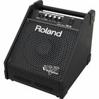 Amplifier / Personal Monitor, 10" / 30W