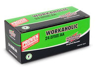 Interstate Battery DRY0070-24PACK  Workaholic AA Batteries, 24-Pack