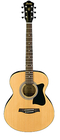Ibanez IJVC50 JAMPACK Acoustic Guitar Package