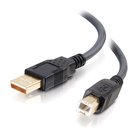 Cables To Go 29144 Ultima USB 2.0 A/B 16.4 ft High-Performance USB-A Male to USB-B Male Cable