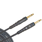 D`Addario PW-GS-10 Guitar/Instrument Cable, 1/4"-1/4", Stereo, 10 Feet