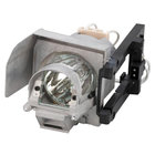 Replacement Projector Lamp