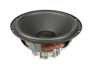 JBL 350243-001 Control 30 Replacement Woofer