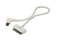 Fostex 8276943001 AR101 30-pin to Mini USB Cable