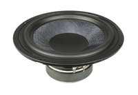 10" Woofer for Temblor T10