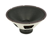 12" Guitar Speaker