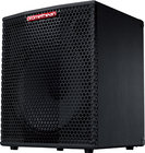 Promethean 300W 1x15&quot; Bass  Combo Amplifier