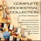 Best Service Complete Orchestral Collection Orchestral Virtual Library, Includes String Tools [download]