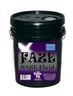 Froggy's Fog Faze Haze Professional Water-based Haze Fluid, 5 Gallons 
