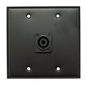 Whirlwind WP2B/1NL4 Dual Gang Black Wallplate with 1 NL4 Connector