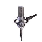 Audio-Technica AT4060a Large-Diaphragm Tube Condenser Microphone