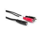 Hosa CFR-210 10' 3.5mm TRSF to Dual RCA Audio Y-Cable