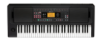 Korg EK-50L 61-Key Entertainment Keyboard with High Output Speakers