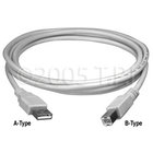 Interface Cable USB A to B 6` 