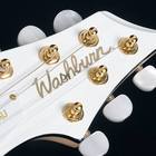 History of Washburn Guitar