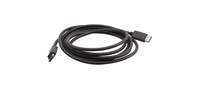 DisplayPort (Male-Male) Cable (25')