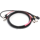 Pro Co EC2-50 50' Combo Cable with Dual XLR and Edison to IEC