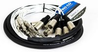 Pro Co MT8BQXM-10 10 ft. 8-Channel 1/4" TRS-M Fan to XLR-M Fan Studio Patch Snake