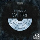 Best Service TO-STRINGS-OF-WINTER  Atmospheric String Orchestra Sound Library [Virtual] 
