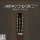 Best Service ARABIC-E-OUD Arabic Electric Oud Sample Library [Virtual]