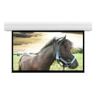 Da-Lite 14788L  117.5X188" Projection Screen