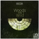 Best Service The Orchestra Woods Of The Wild Orchestral Woodwind and Percussion Library [Virtual]