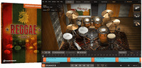 Toontrack Reggae EZX Expansion for EZdrummer 2 [Virtual[