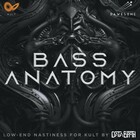 Tracktion BassAnatomy Expansion Pack for KULT [Virtual]