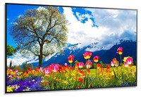 NEC M981  98" Ultra High Definition Professional Display