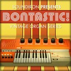 Soundiron Bontastic! Vintage Organ for Kontakt [Virtual]