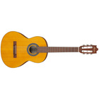 Ibanez GA2OAM  3/4-scale Classical Acoustic Guitar, Natural 