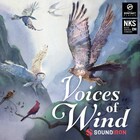 Soundiron Voices of Wind Collection Female Vocals for Kontakt NKS [Virtual]