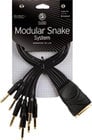 D`Addario PW-TRSB-01 Modular Snake Cable (8 Channel 1/4" TRS Breakout to DB25 Connector)