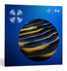 iZotope RX 11 Standard Crossgrade Crossgrade from Any Paid iZotope Product [Virtual]