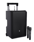 LD Systems ANNY-10-HHD-2-B4.7  10" Portable PA System w/d 2x wireless HH microphones 