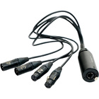 SoundTools CTFMX "2 female XLR, 2 male XLR 24""breakout tails to female ether