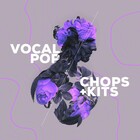 Audiomodern Vocal Pop Chopped Vocals Pack for Loopmix [Virtual] 