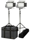 ikan RB5-2PT-KIT Rayden Half x 1 Bi-Color 2-Point Panel LED Light Kit