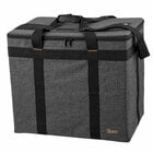 ikan IBG-1000-V2  Lyra/Rayden/Mylo/Onyx Light Kit Bag, Gray, Large