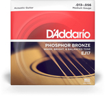 D`Addario EJ17 Medium Phosphor Bronze Acoustic Guitar Strings