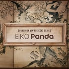 Soundiron Eko Panda A Vintage 61-Key Synthesizer for Kontakt [Virtual]